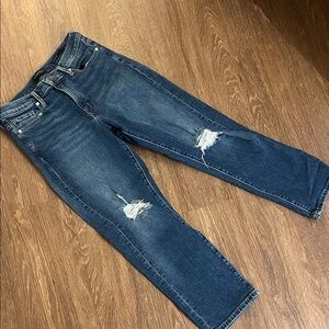 Banana Republic Stylish Distressed Blue Jeans